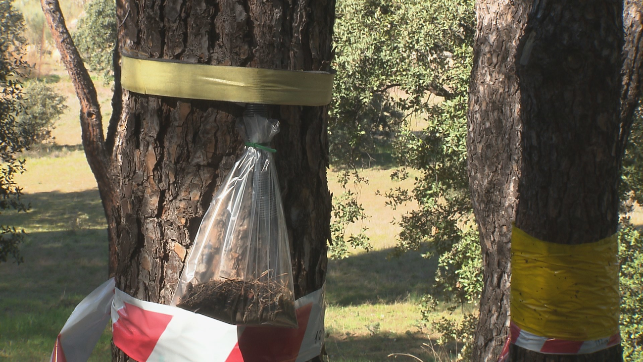 La historia de una confusión sobre unas cintas amarillas en Ciudad Lineal