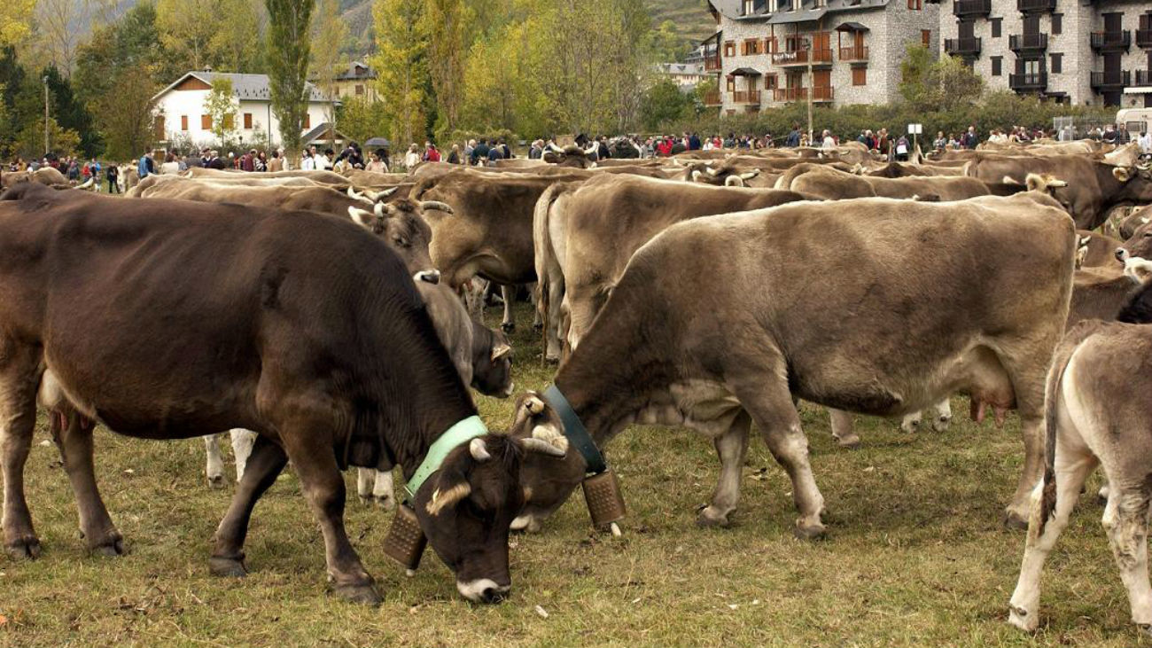 Vivir sin plástico, carne y emisiones, triple reto para la Hora del Planeta
