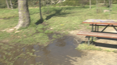 El Ayuntamiento de Madrid estudia la pérdida de agua del lago de la Casa de Campo