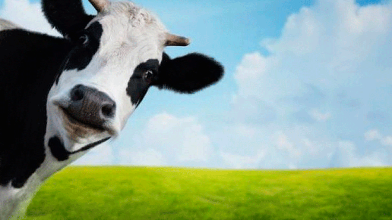 ¿Y si eliminamos la leche de nuestra dieta?