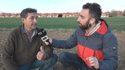 Cosechas en ruinas  por la ausencia de precipitaciones