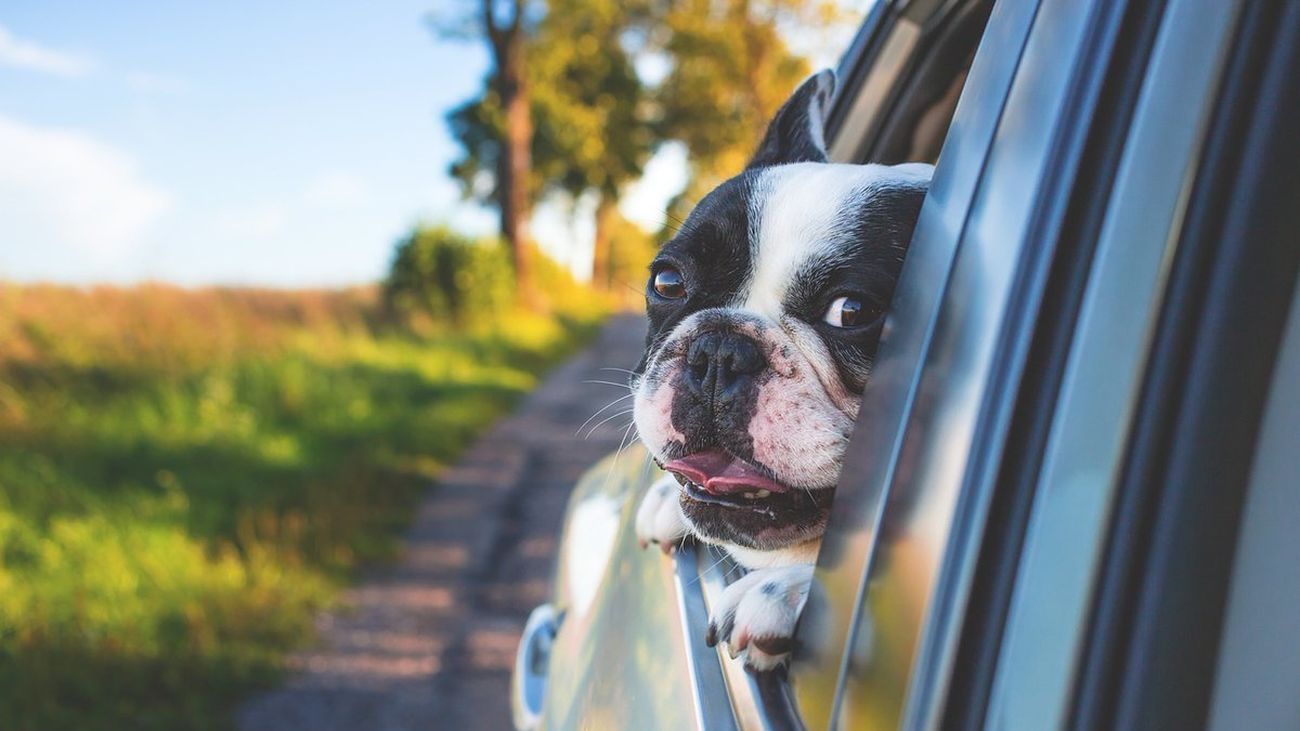 Oportunidades de empleo en Semana Santa en Madrid