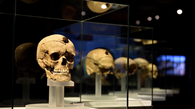 Prehistóricos trofeos de guerra de la cultura ibérica en el Arqueológico