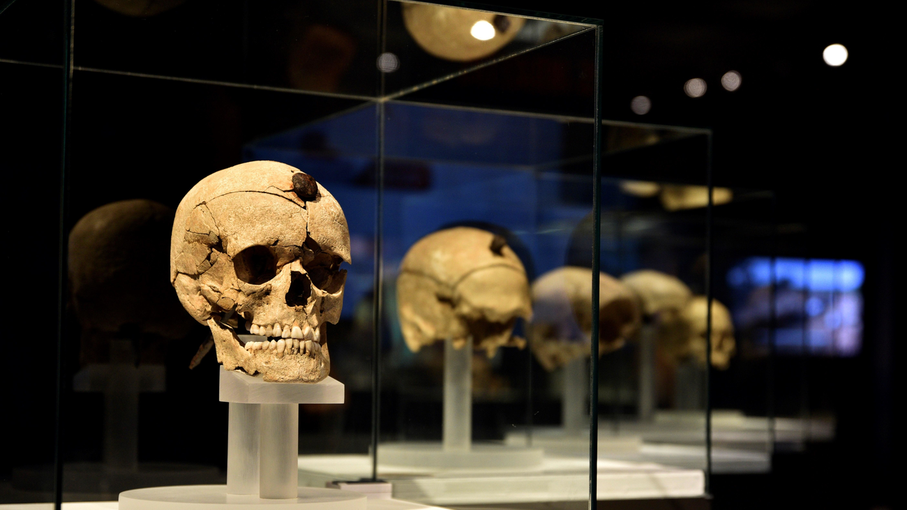 Prehistóricos trofeos de guerra de la cultura ibérica en el Arqueológico