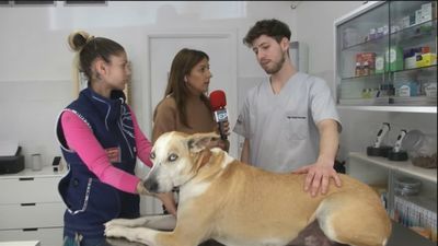 Está Pasando 04.04.2019