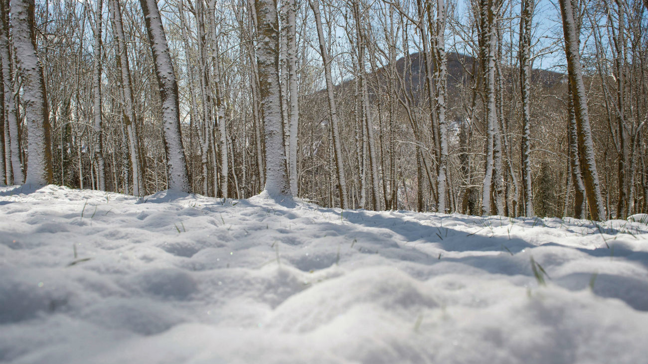Media España en alerta por lluvias, viento y nieve