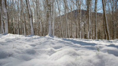Media España en alerta por lluvias, viento y nieve