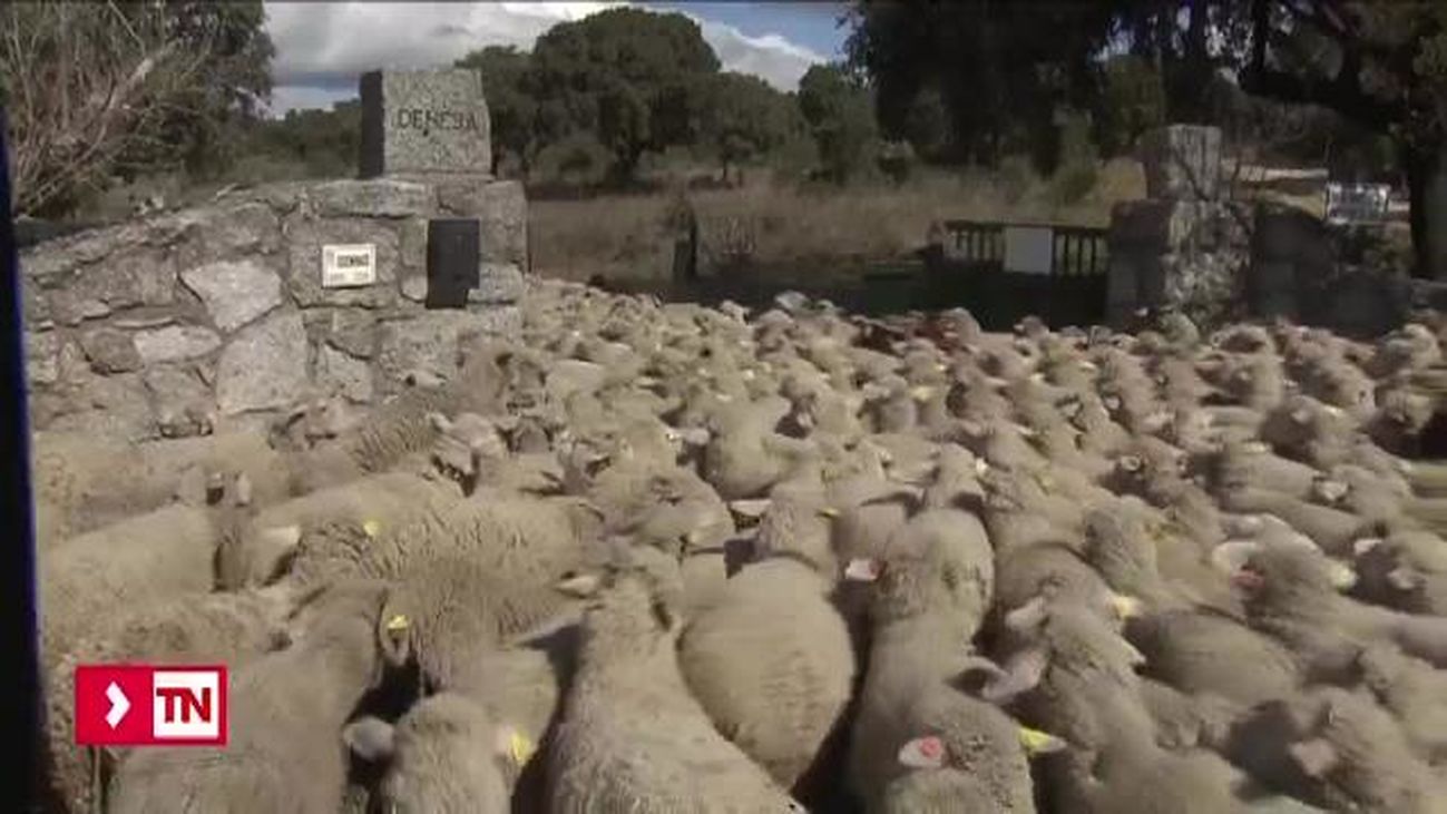 Telenoticias Fin de Semana 07.04.2019