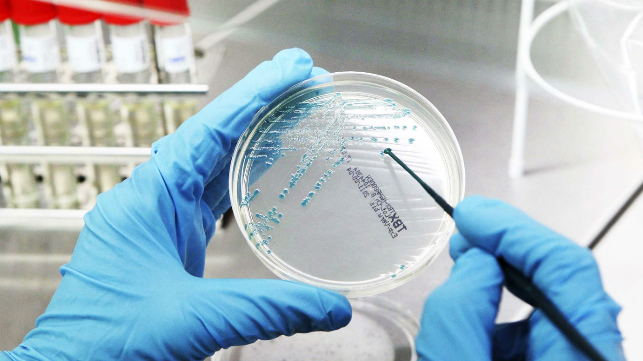 Una investigadora madrileña necesita fondos para su nuevo tratamiento contra el cáncer