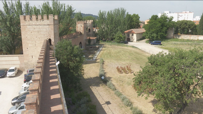 Alcalá de Henares ofrece visitas guiadas por sus lugares más emblemáticos