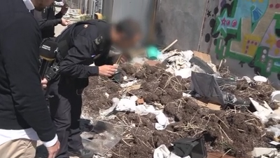 Descubrimos una plantación de marihuana abandonada en Leganés