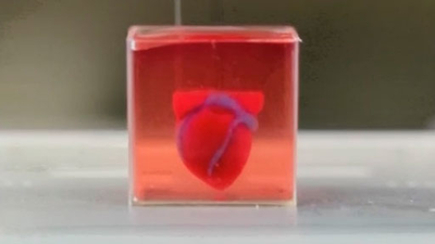 Científicos de la Universidad de Tel Aviv imprimen en 3D el primer corazón con tejido humano