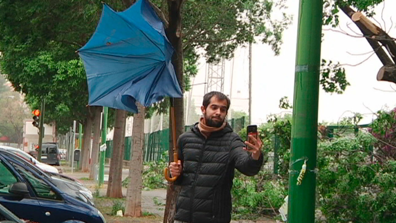 Se fue con el viento