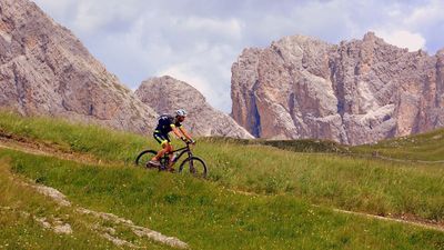 Profesiones con futuro: Ecoturismo y agroturismo