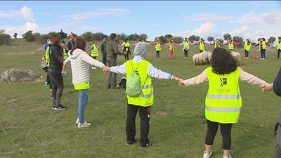 5ª Jornadas de pastoreo y Feria de quesos artesanos en Colmenar Viejo