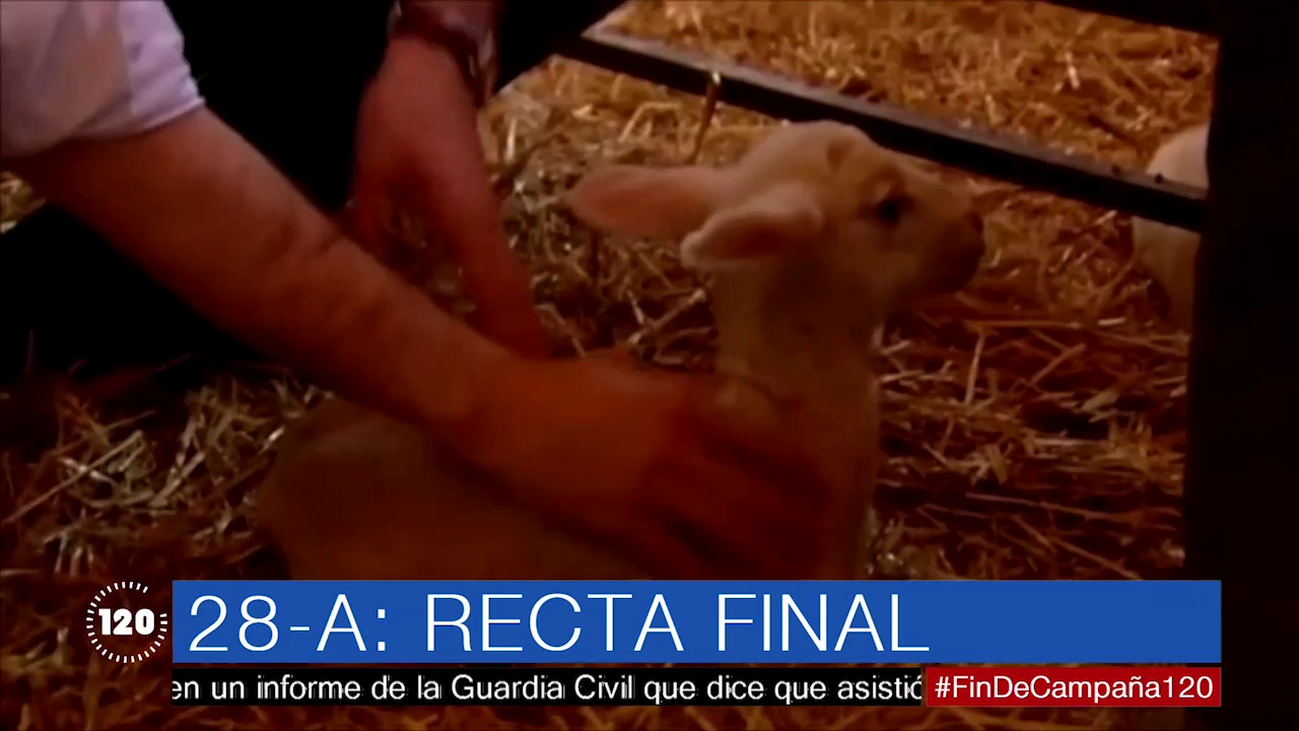 Lo mejor de la campaña electoral