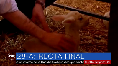 Lo mejor de la campaña electoral