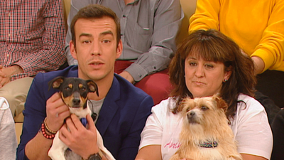 Un nuevo hogar para Gus y Lucas