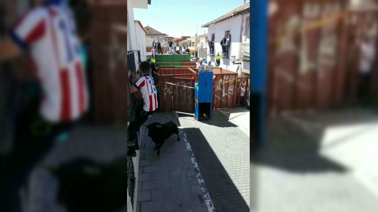 Un toro se escapa y deja tres heridos en San Martín de la Vega