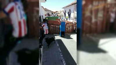 Un toro se escapa y deja tres heridos en San Martín de la Vega