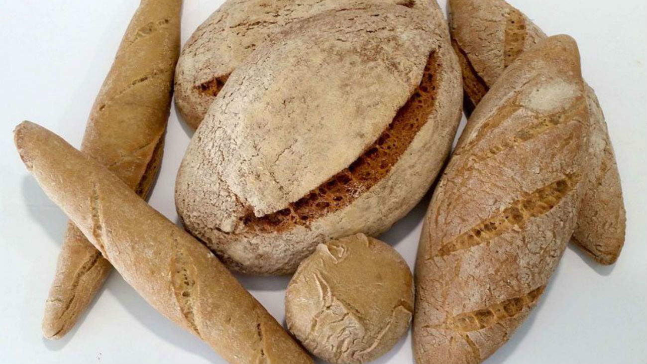 Pan sin gluten enmedio del bosque