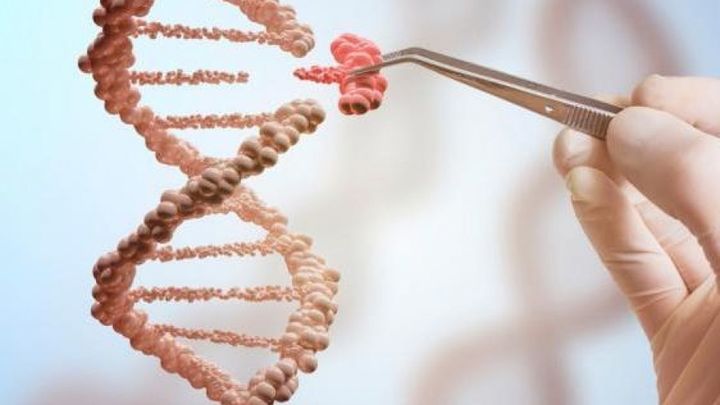 CRISPR, la técnica de ‘corta y pega’ del ADN