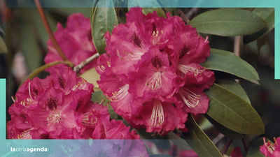 La Movida visita el Real Jardín Botánico de Madrid