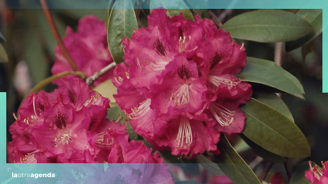 La Movida visita el Real Jardín Botánico de Madrid