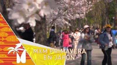 Madrileños por el mundo: Japón