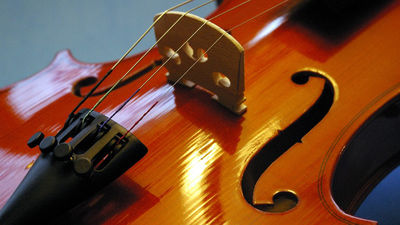 El Jardín Botánico de Madrid acoge un ciclo de conciertos de la Orquesta Sinfónica de Bankia