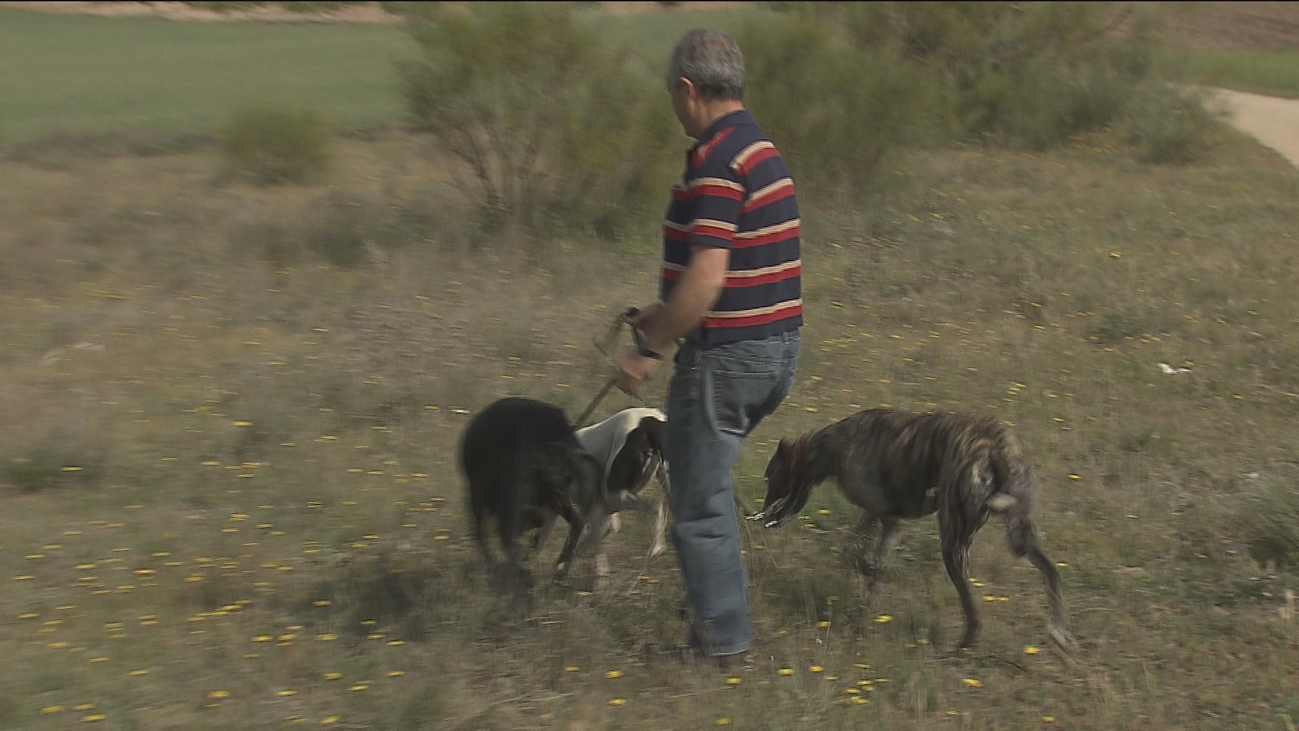 Vecinos de Casarrubios participan en la búsqueda de Roberto