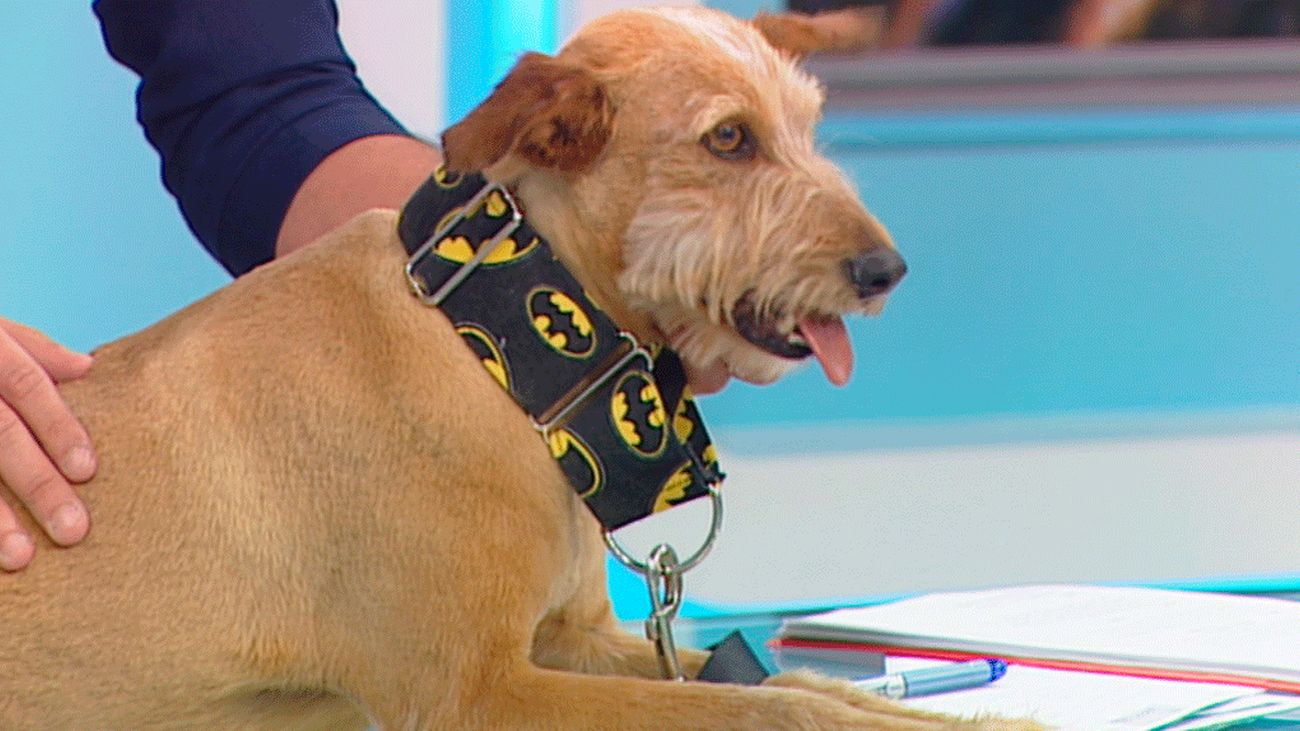 Está Pasando 03.05.2019