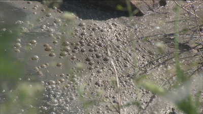 Vecinos de Valdebebas hartos del olor que desprende una balsa de aguas residuales
