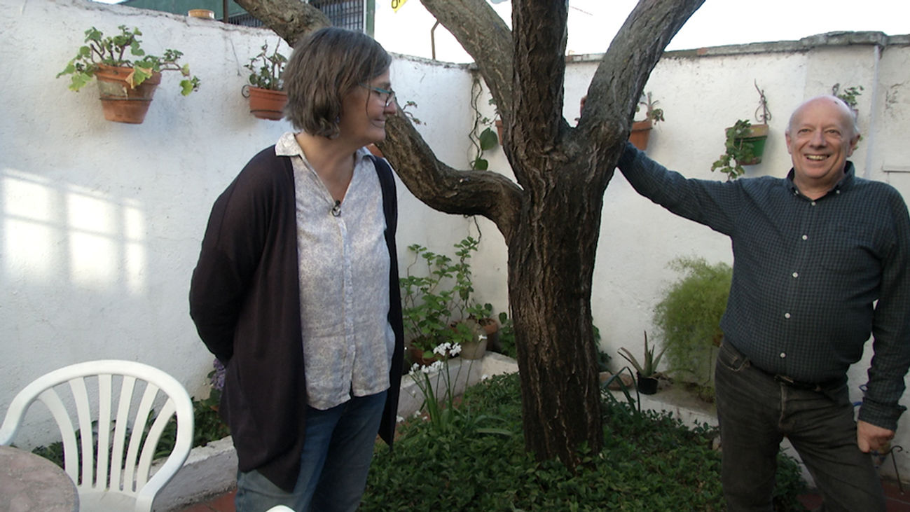 Los patios de las "casas domingueras" en el El Pozo