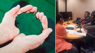 Cianoalgae, la revolución de las algas para la cosmética