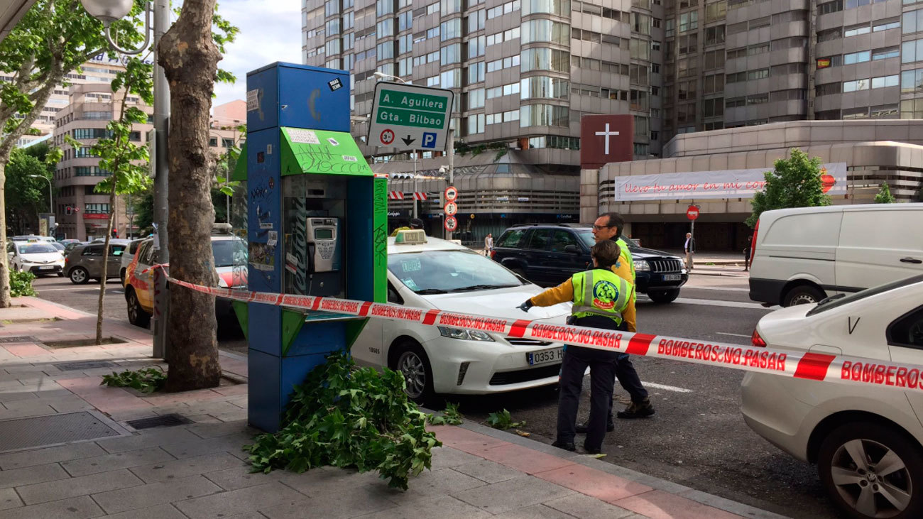 Un taxista herido grave al caerle una rama de un árbol en la calle Princesa