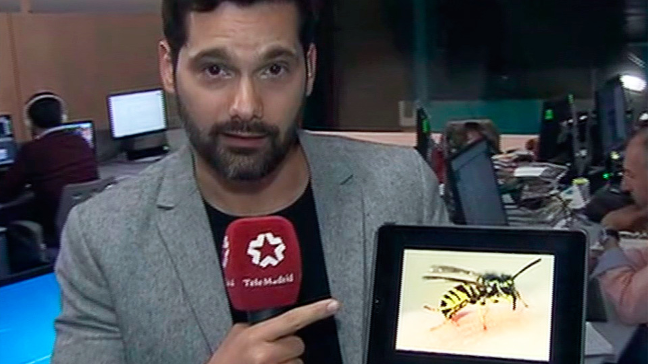 Trucos para evitar las picaduras