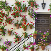 Los patios de Córdoba se llenan de flores con la primavera