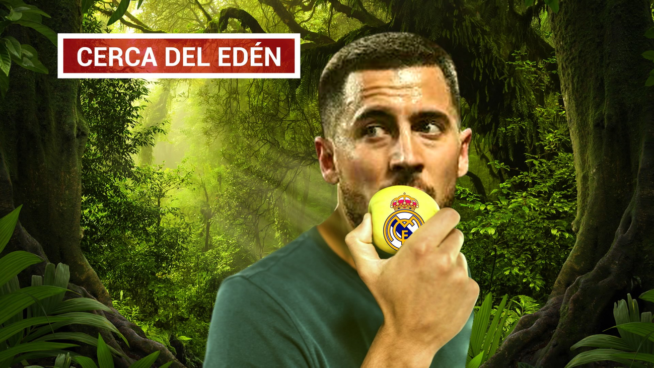 Hazard ya ha tomado una decisión