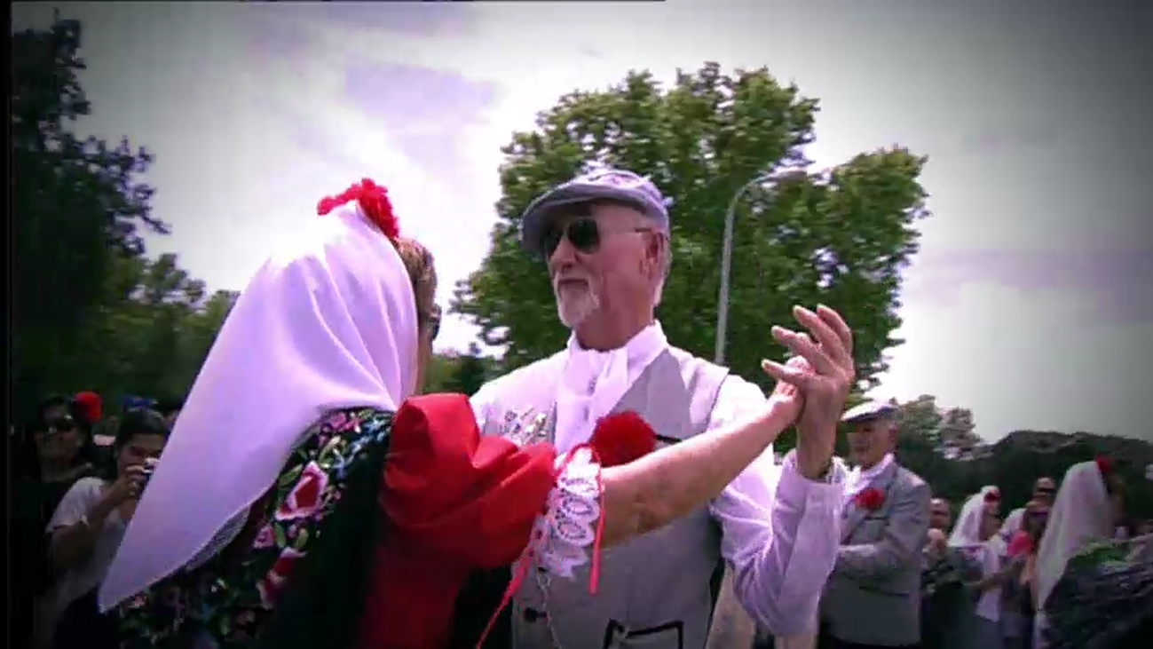 Vive San Isidro en Telemadrid