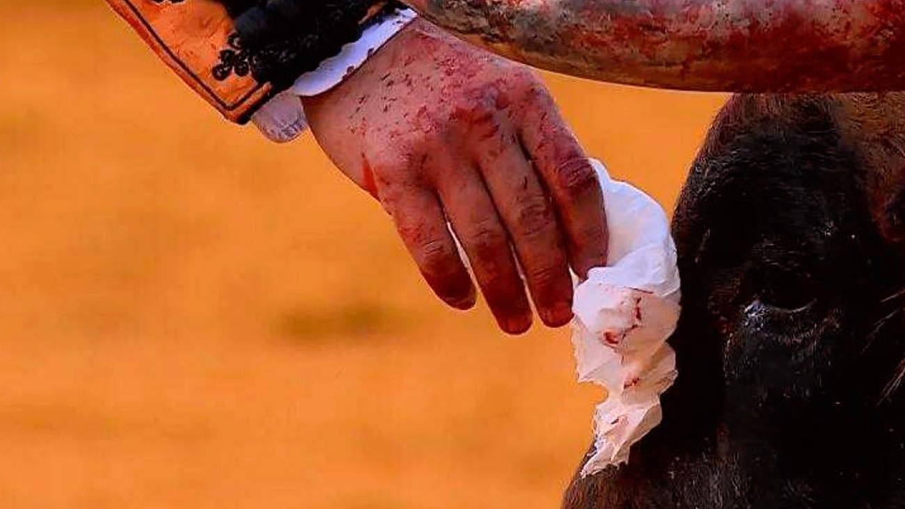 Morante de la Puebla desata la polémica