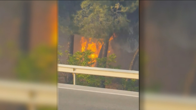 Pánico entre los vecinos de Arroyomolinos por la sucesión de incendios en la zona