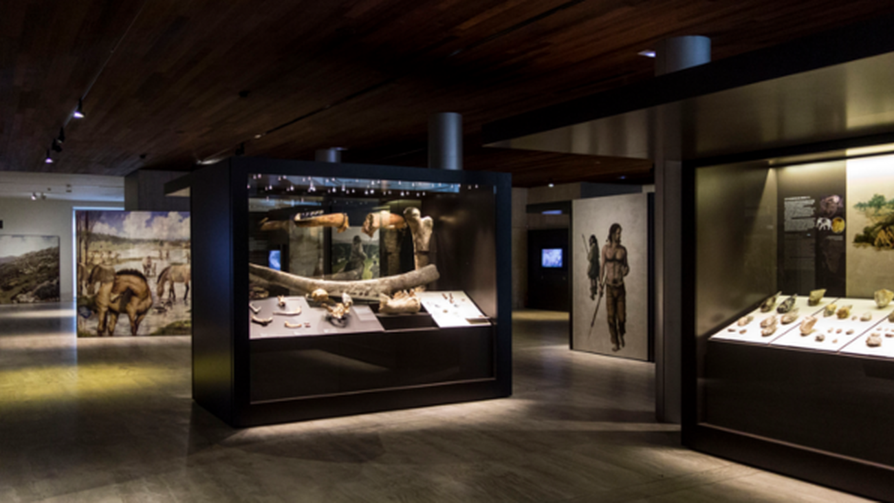 El Sorolla o el Arqueológico Nacional reabren el martes y serán gratuitos hasta finales de julio