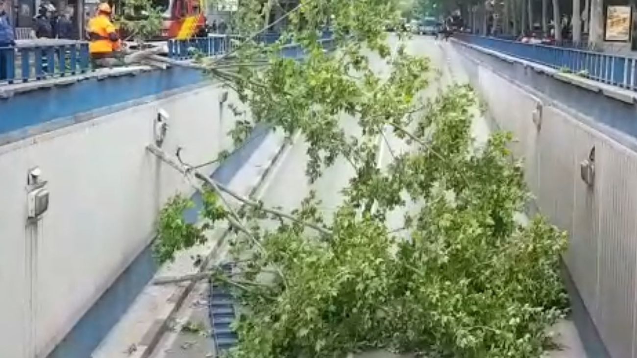 Caída de un árbol sobre el túnel de Mariano de Cavia