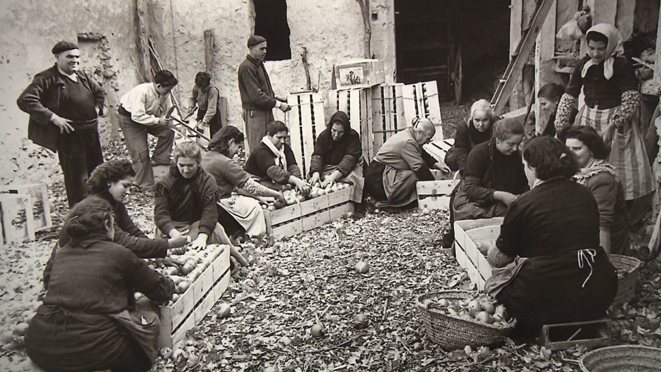 ‘Cultivando memorias’,  mujeres pioneras en el campo español