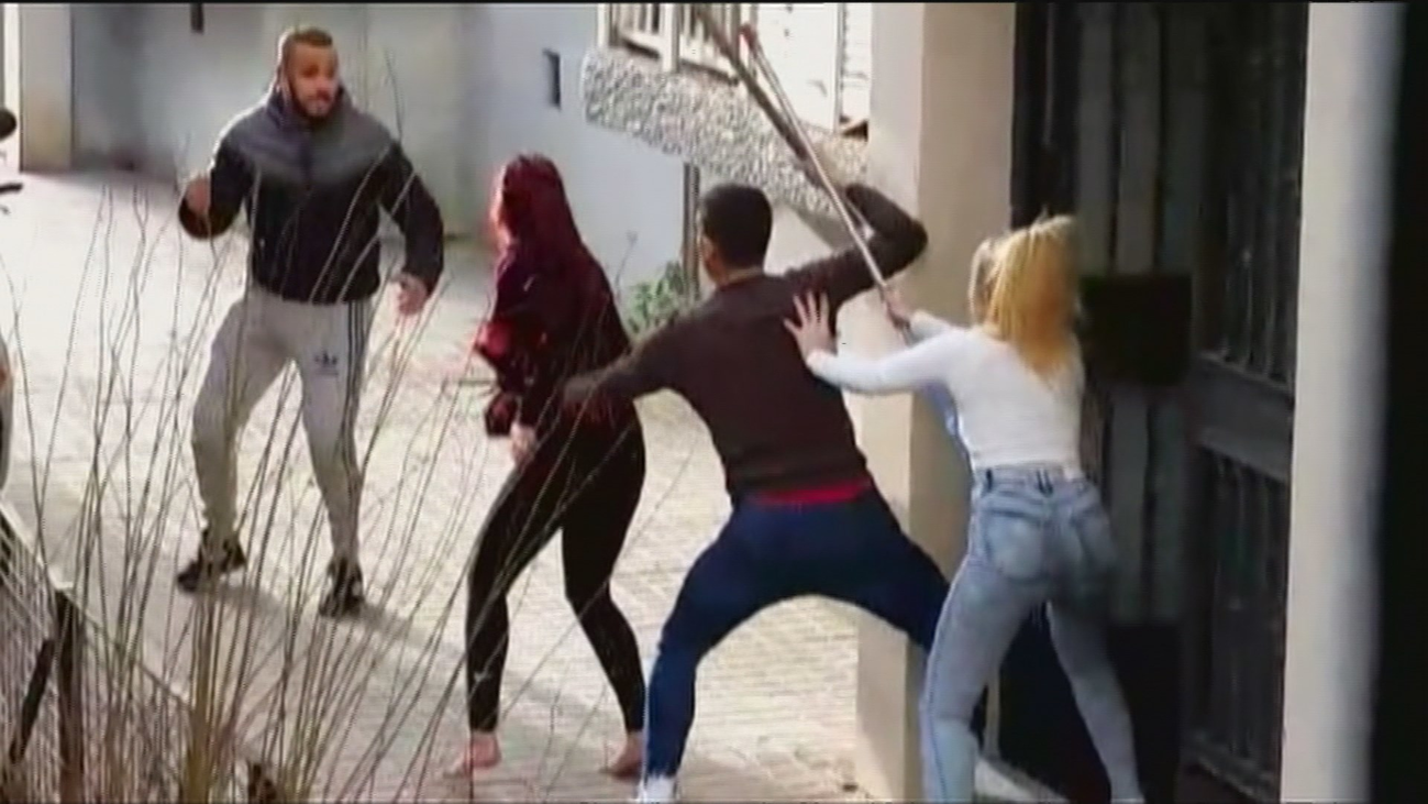 Detenido en Sevilla un okupa que acumulaba perros de raza peligrosa en un trastero