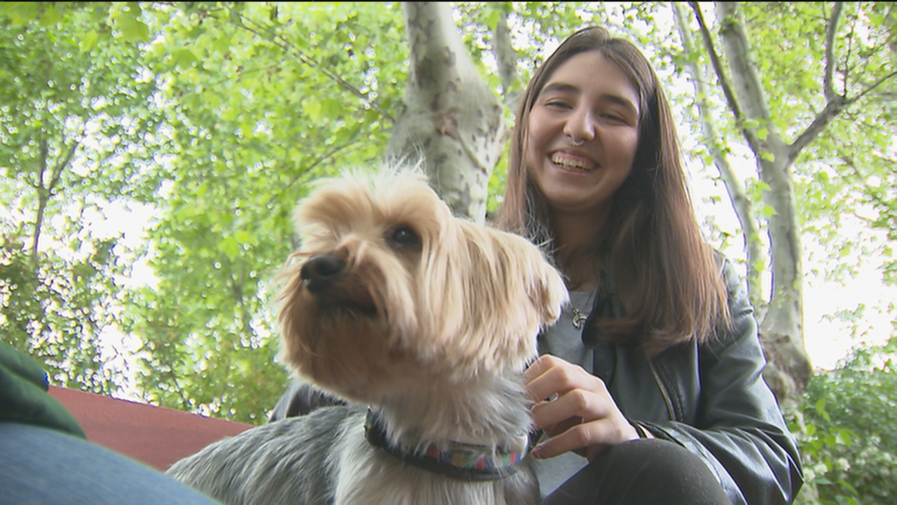El Hospital de Guadarrama permite la visita de las mascotas de los pacientes