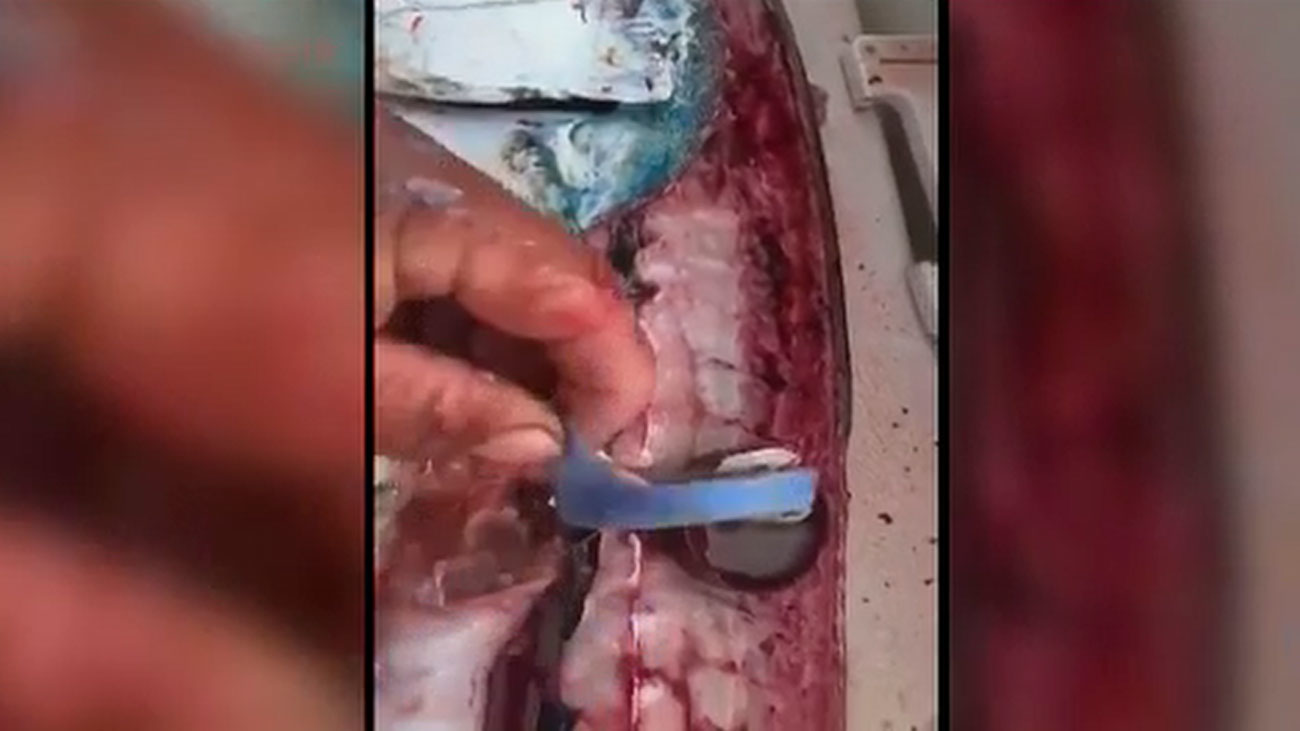 La denuncia de Dabiz Muñoz al encontrar tapones de plástico en el pescado