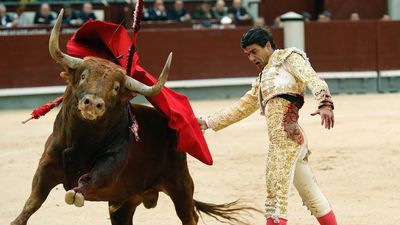 Fin de semana en Las Ventas marcado por el toreo de Pablo Aguado