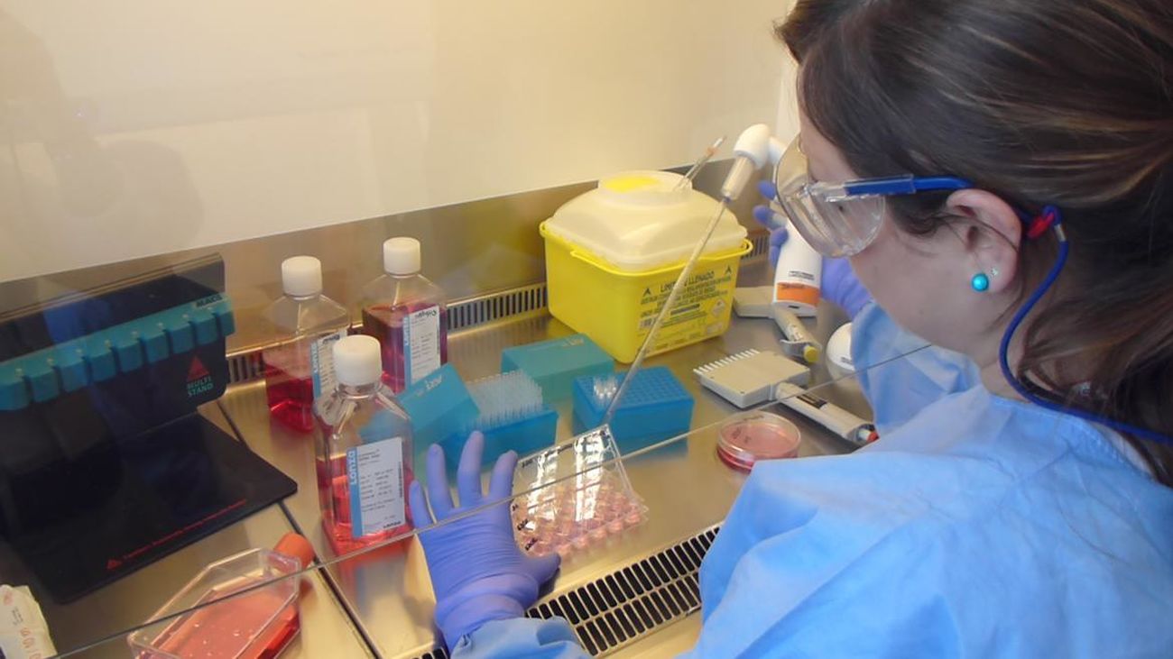 La Comunidad destina 10 millones de euros para contratar a jóvenes investigadores en desempleo